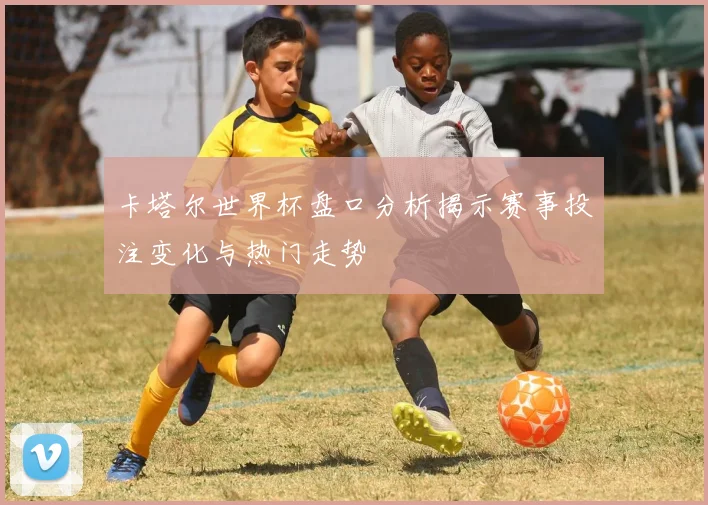 卡塔尔世界杯盘口分析揭示赛事投注变化与热门走势
